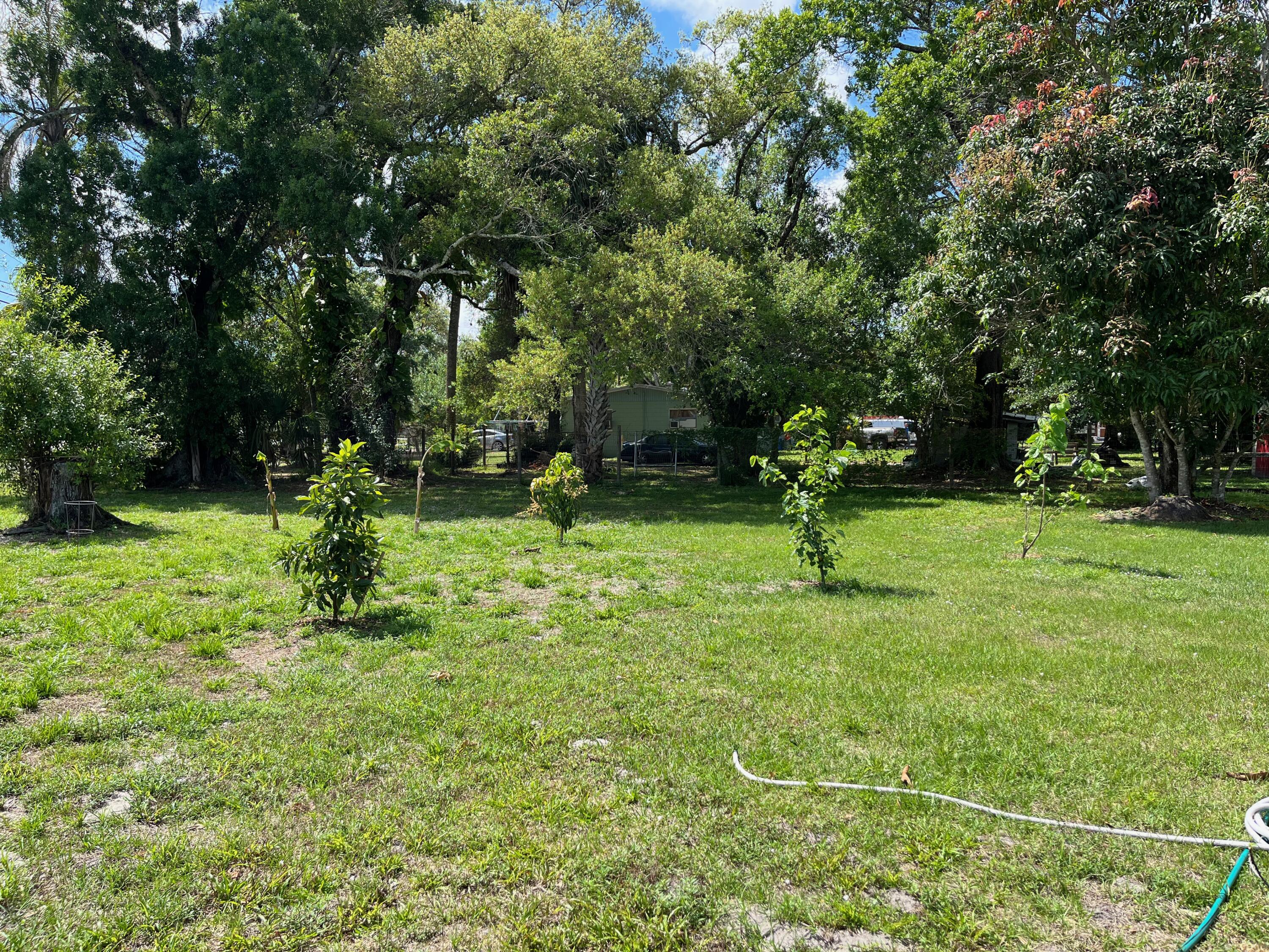 11516 Okeechobee Road Fort Pierce, FL 34945 - Photo 10 of 27 Fruit Trees