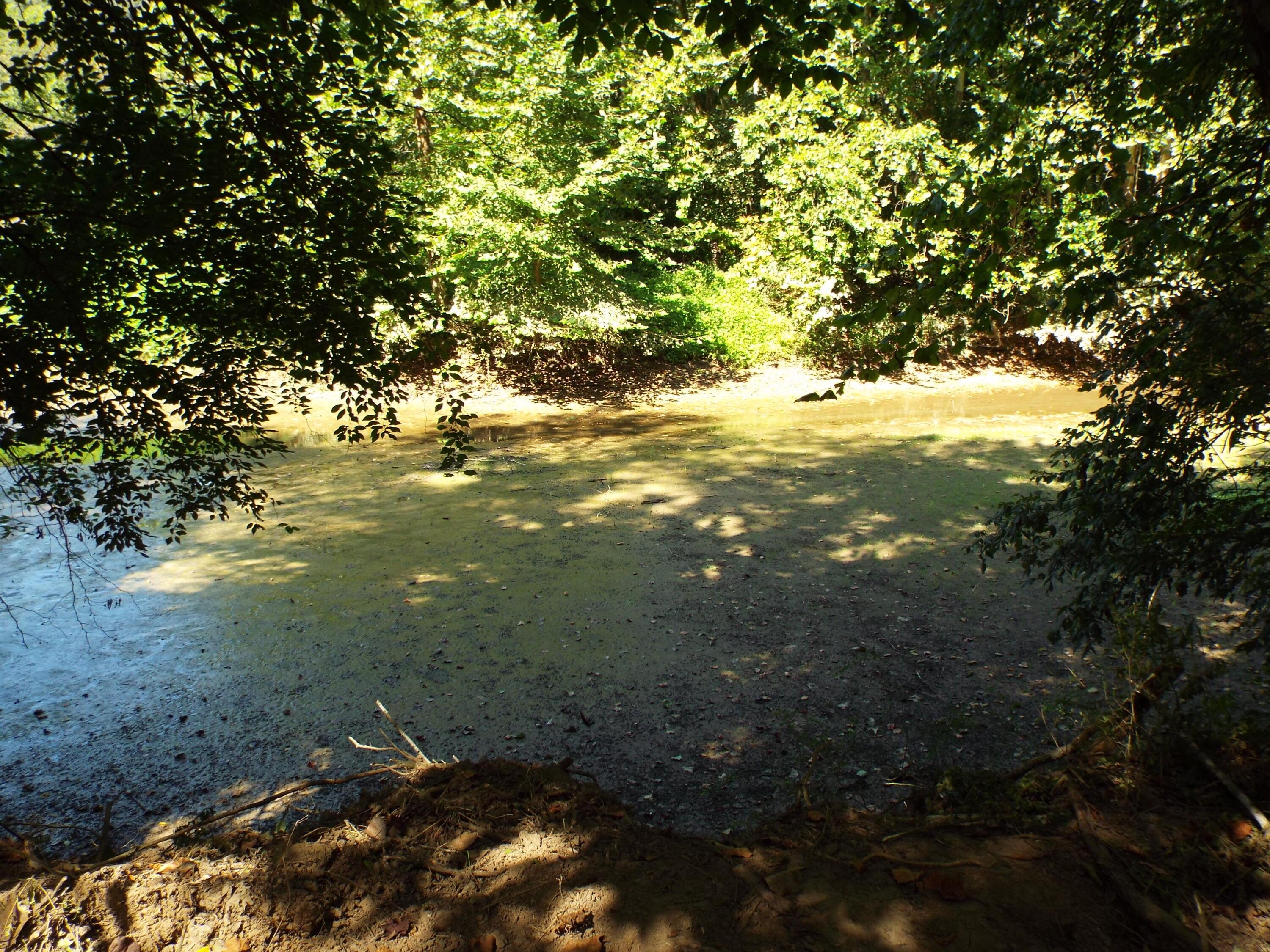 17687 Laurel Run Road Nelsonville, OH 45764 - Photo 17 of 20 Hocking river bed on adjacent Government land