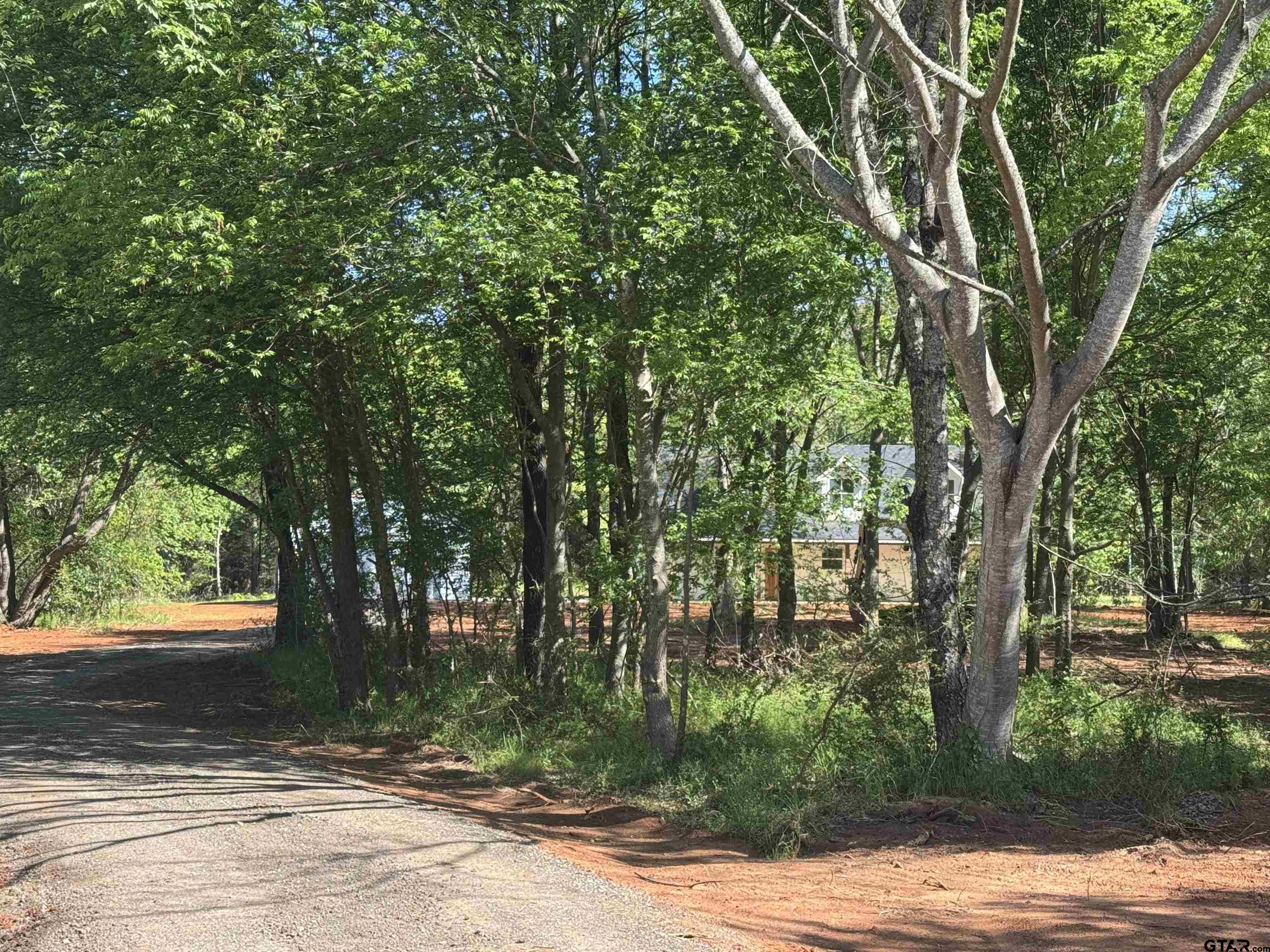 21070-c R 4147 C R 4147 Lindale, TX 75771 - Photo 22 of 23 a view of a yard with plants and trees