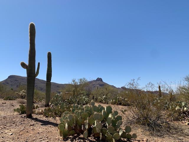 7089 West Ina Road, Unit 2 Tucson, AZ 85743 - Photo 10 of 12
