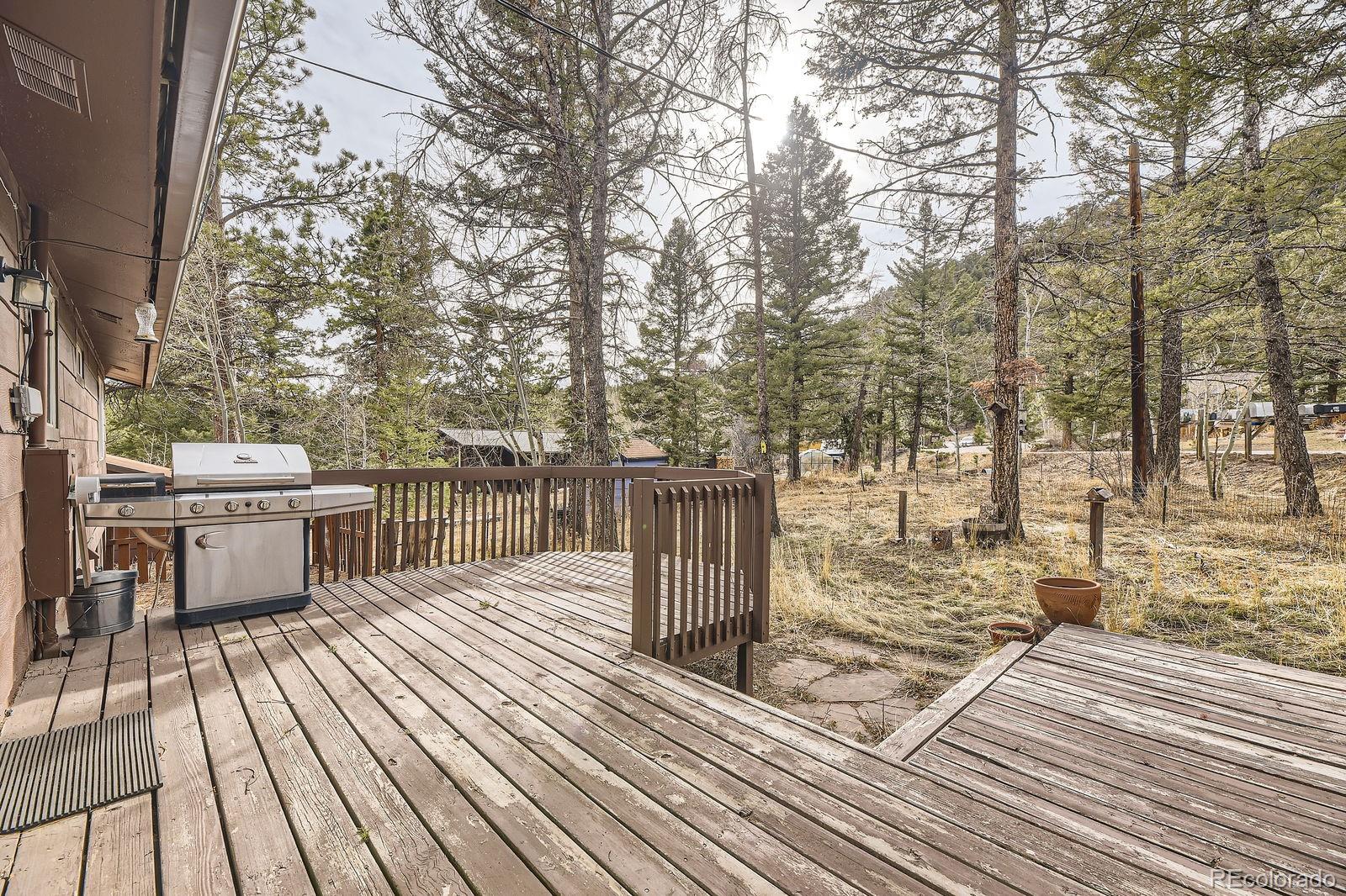 31168 Witteman Road Conifer, CO 80433 - Photo 23 of 28