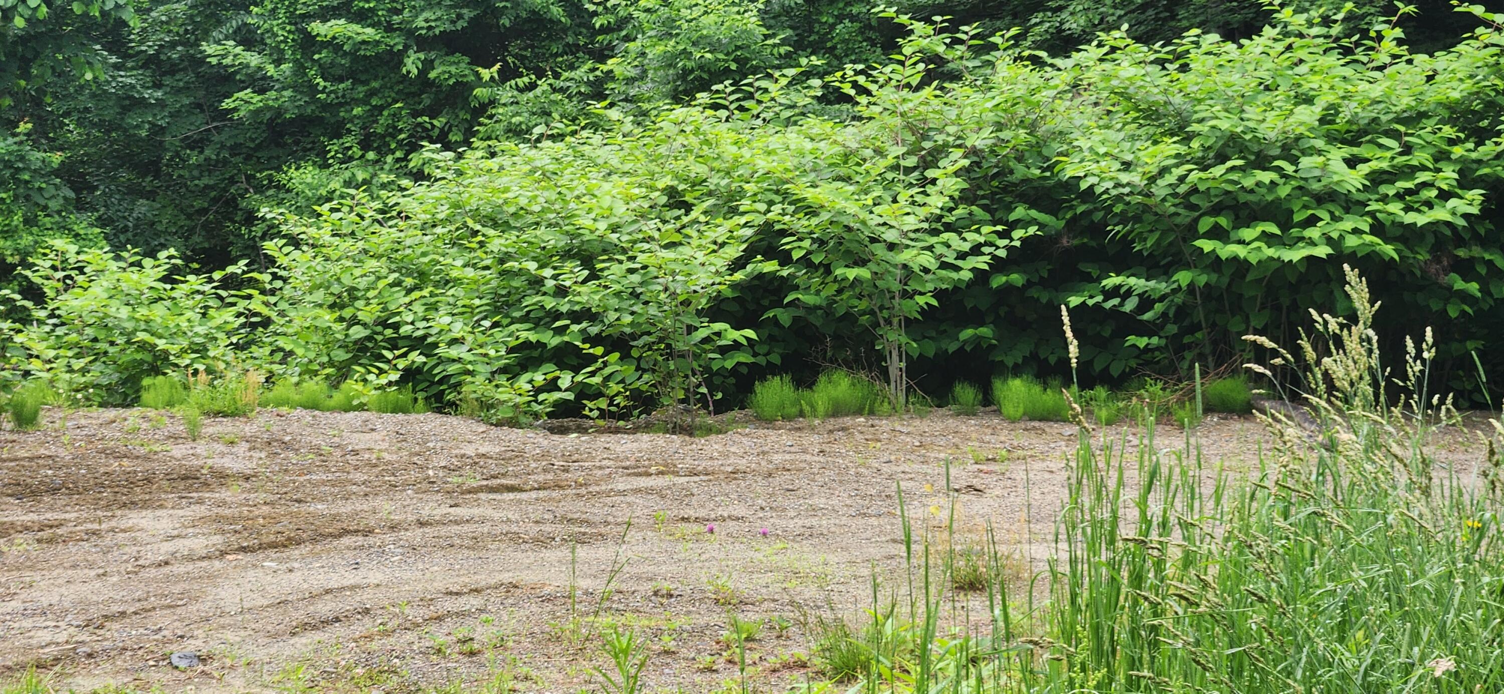 4 Titcomb Hill Road Farmington, ME 04938 - Photo 2 of 5 20240612_091504 (1)