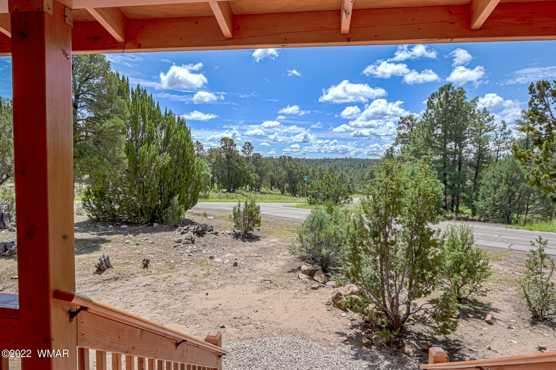 2956 Lodgepole Road Overgaard, AZ 85933 - Photo 6 of 34 a view of a yard along with trees