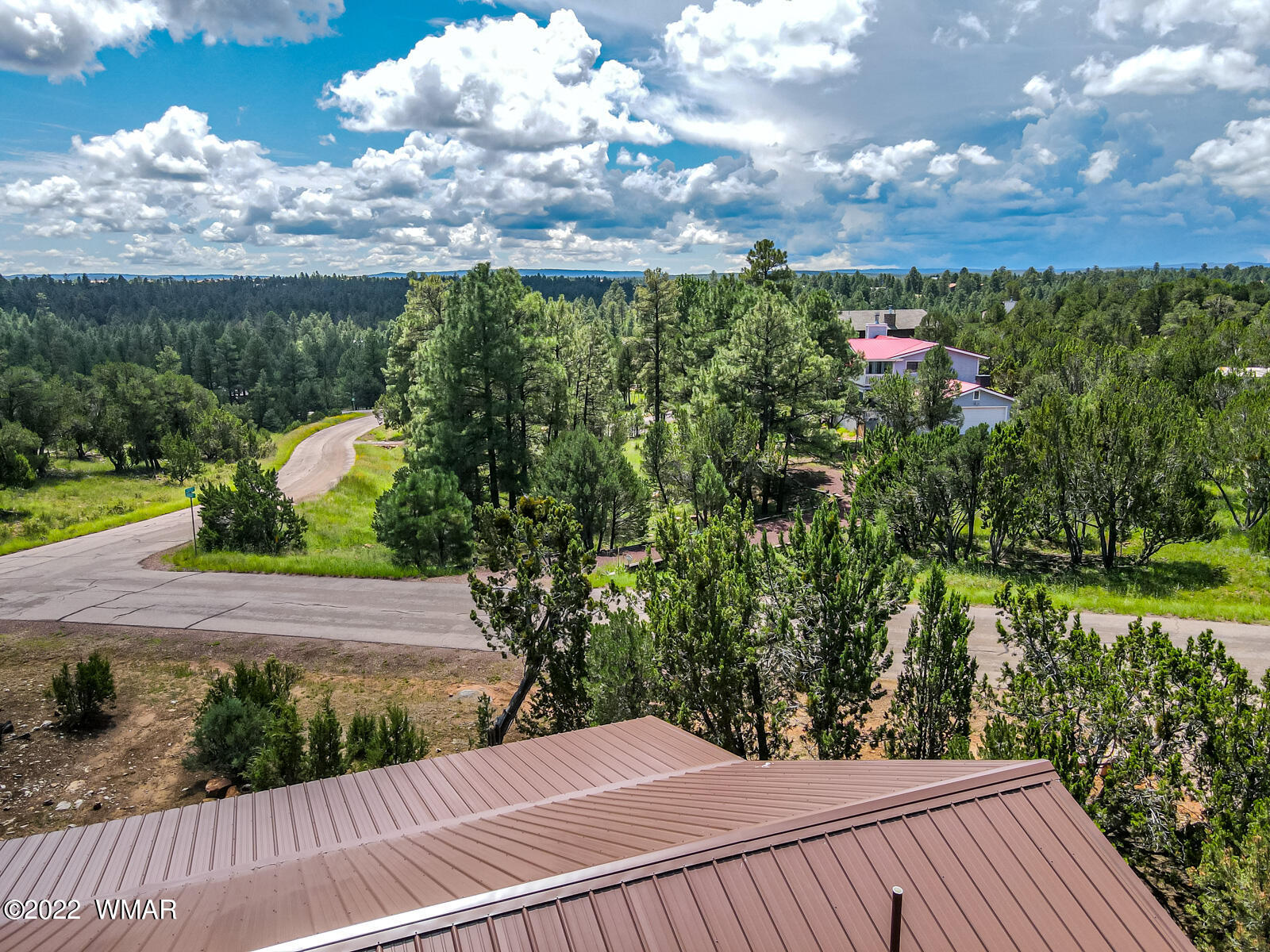 2956 Lodgepole Road Overgaard, AZ 85933 - Photo 7 of 34 a view of a yard with an umbrella