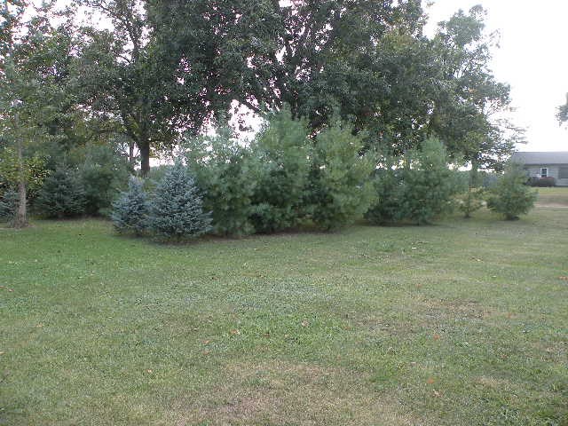 5711 Colby Road Owosso, MI 48867 - Photo 27 of 28 31330076-26.JPG