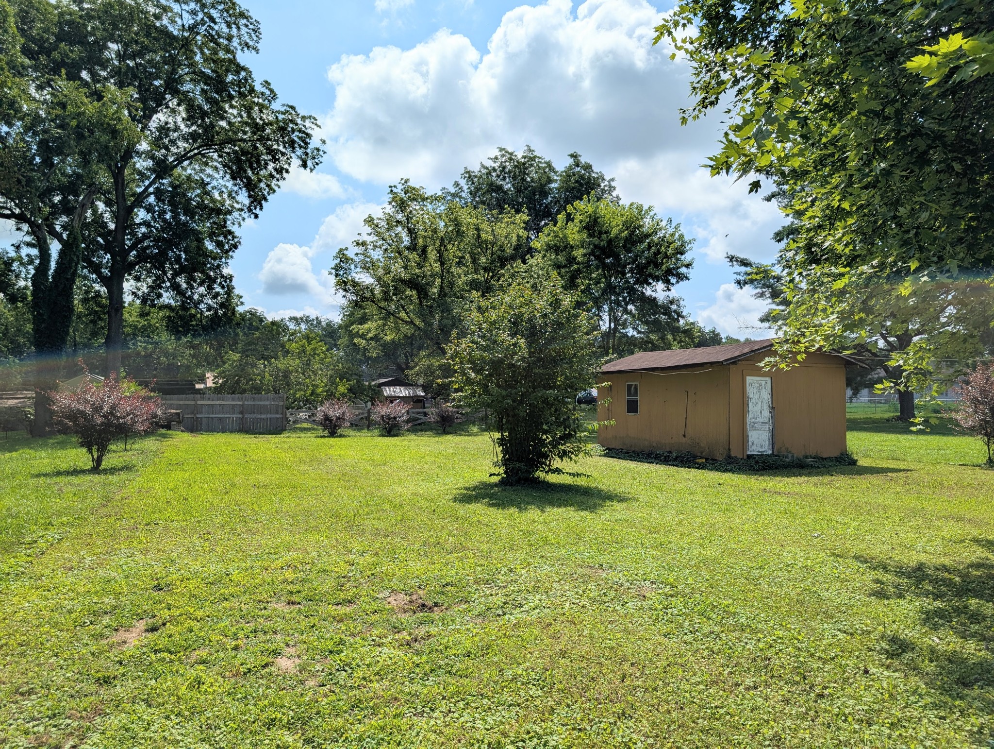 406 Horton Street Decherd, TN 37324 - Photo 11 of 24 a backyard of a house with plants and large tree
