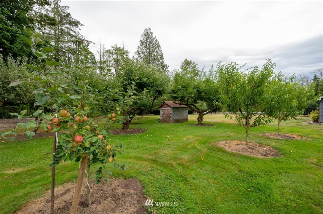 6789 Ershig Road Bow, WA 98232 - Photo 20 of 39 Gallery Image 20