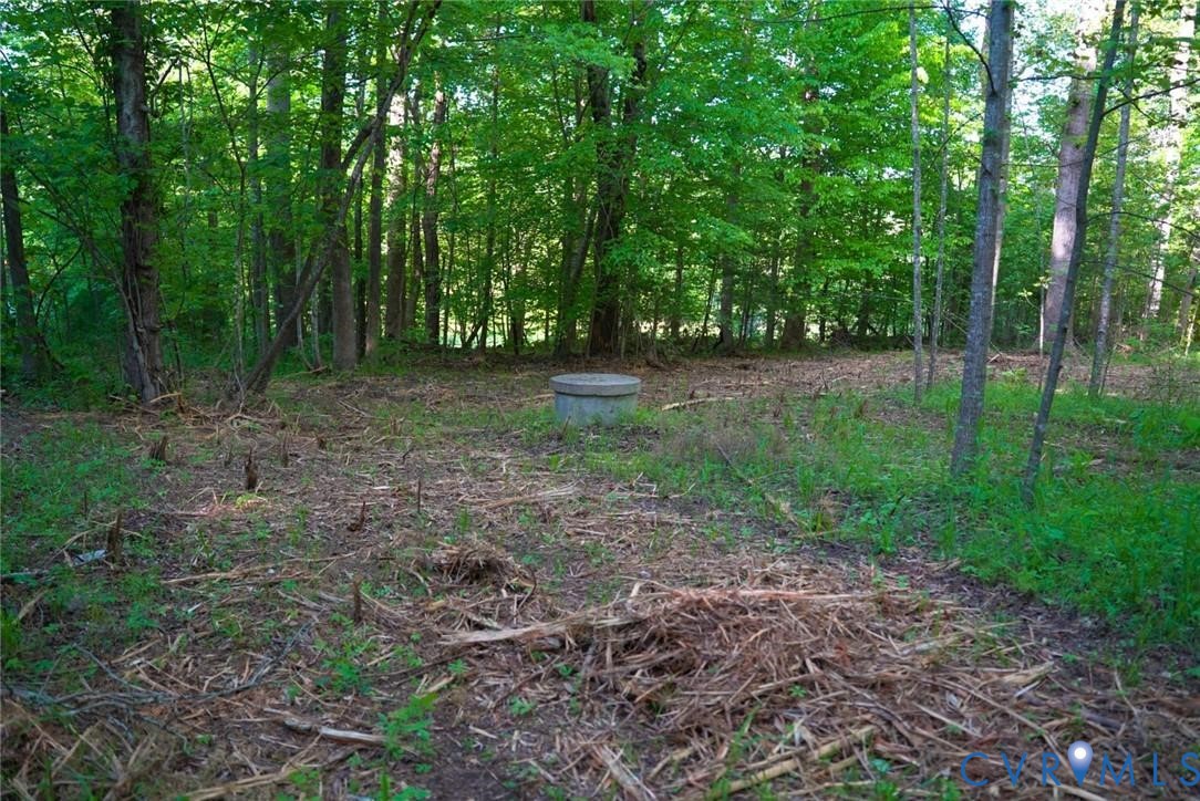 176 Ampthill Road Cartersville, VA 23027 - Photo 12 of 25 a view of outdoor space with trees all around