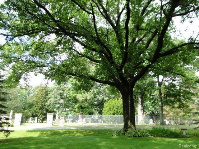 1231 Turrill Road Lapeer, MI 48446 - Photo 49 of 50 Mature Trees