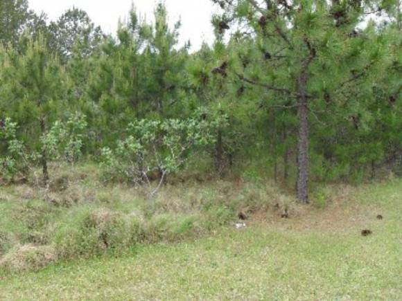 Lot 3 Micro Tower Road Lillington, NC 27546 - Photo 1 of 1 Photo 1