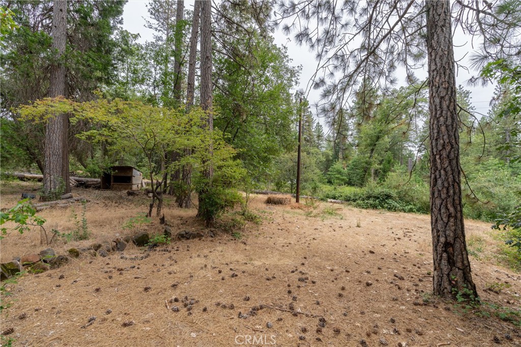 15184 Siwini Road Forest Ranch, CA 95942 - Photo 61 of 75