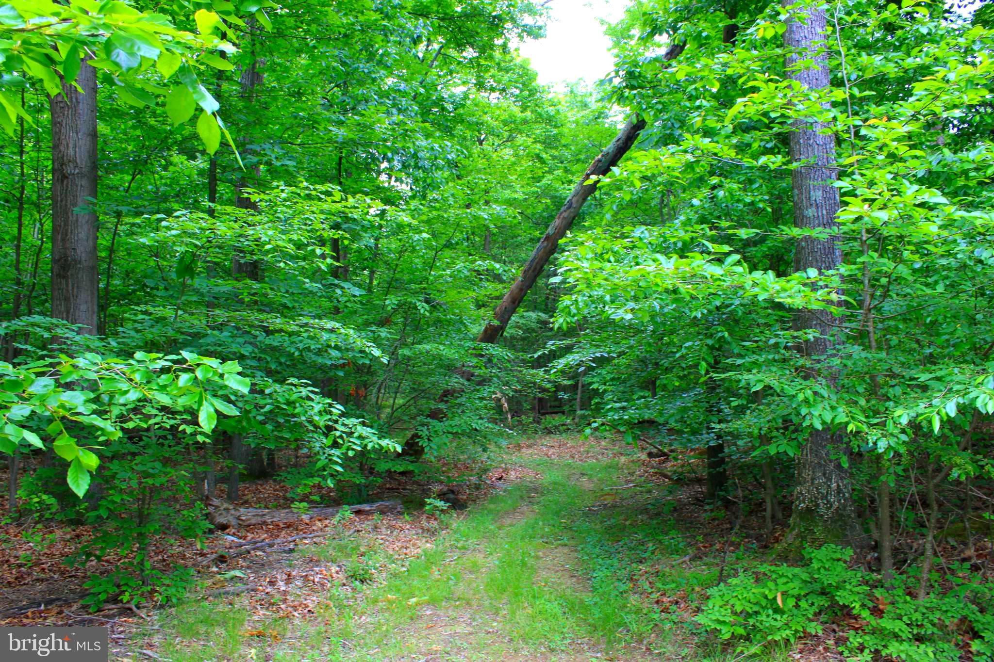43571 Lost Corner Road Leesburg, VA 20176 - Photo 11 of 27 Gallery Image 11