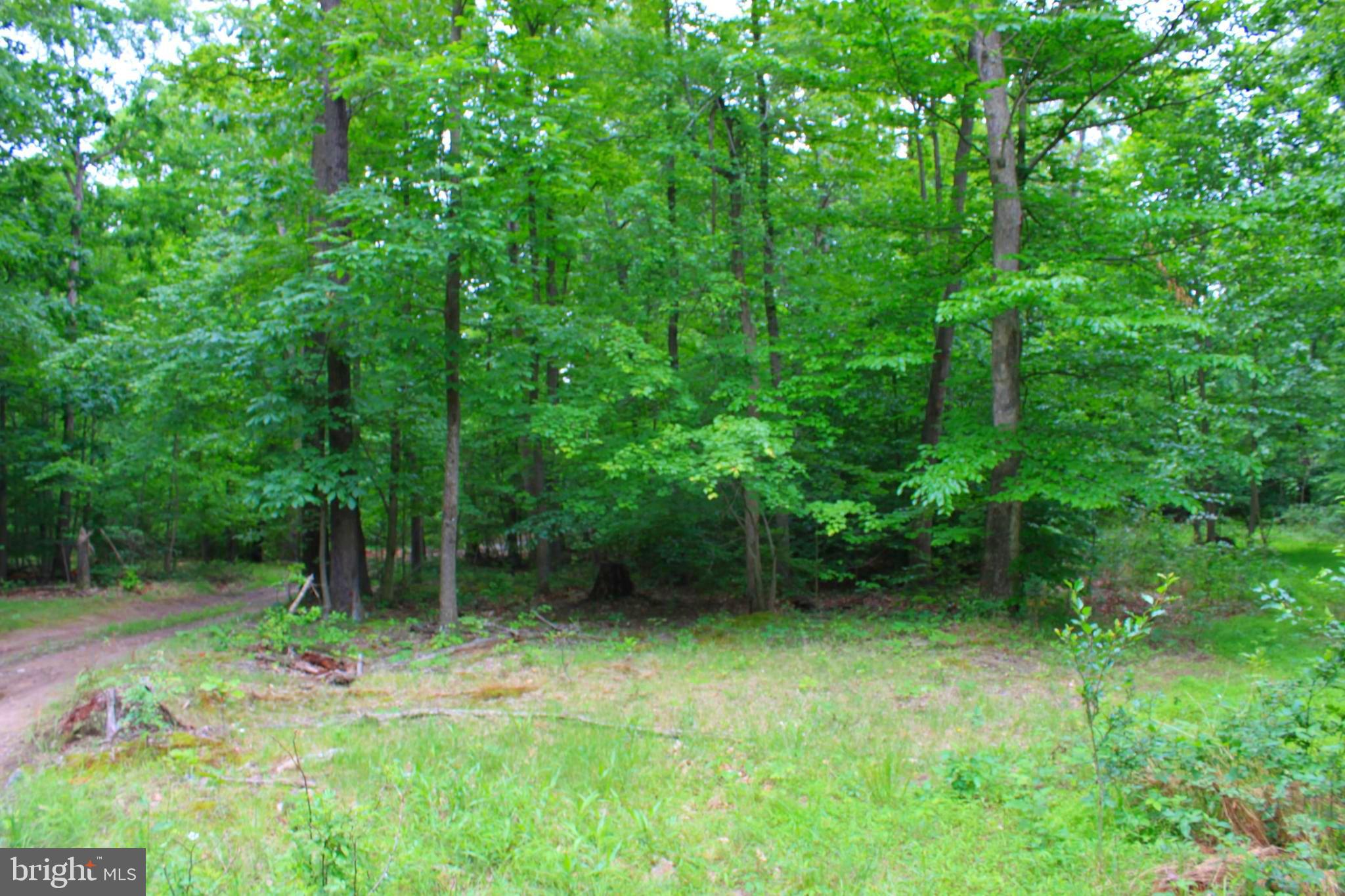 43571 Lost Corner Road Leesburg, VA 20176 - Photo 12 of 27 Gallery Image 12