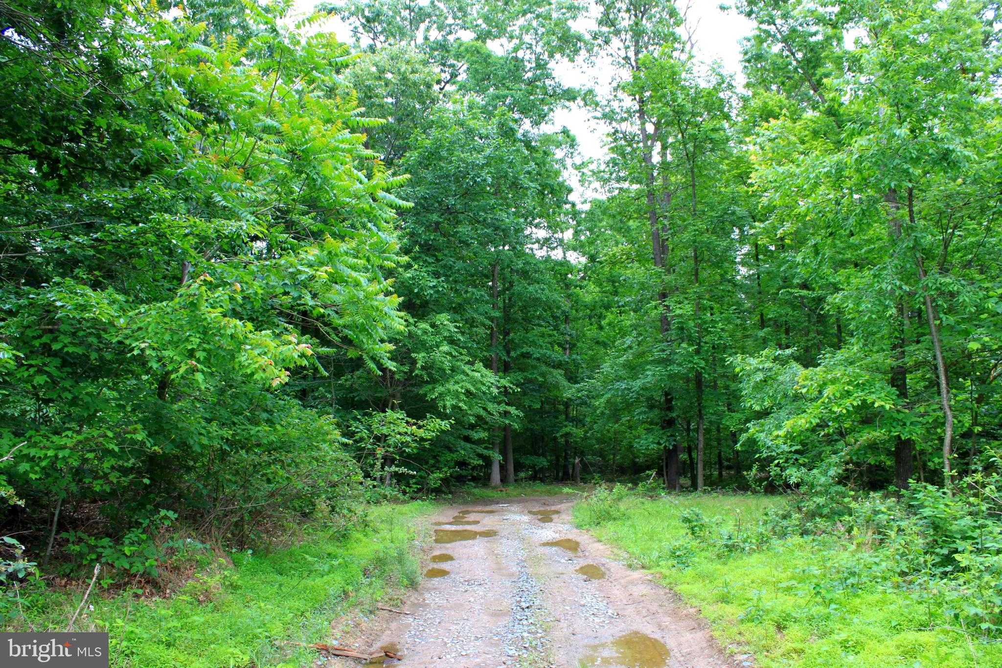 43571 Lost Corner Road Leesburg, VA 20176 - Photo 13 of 27 Unpaved lane to the building lot.