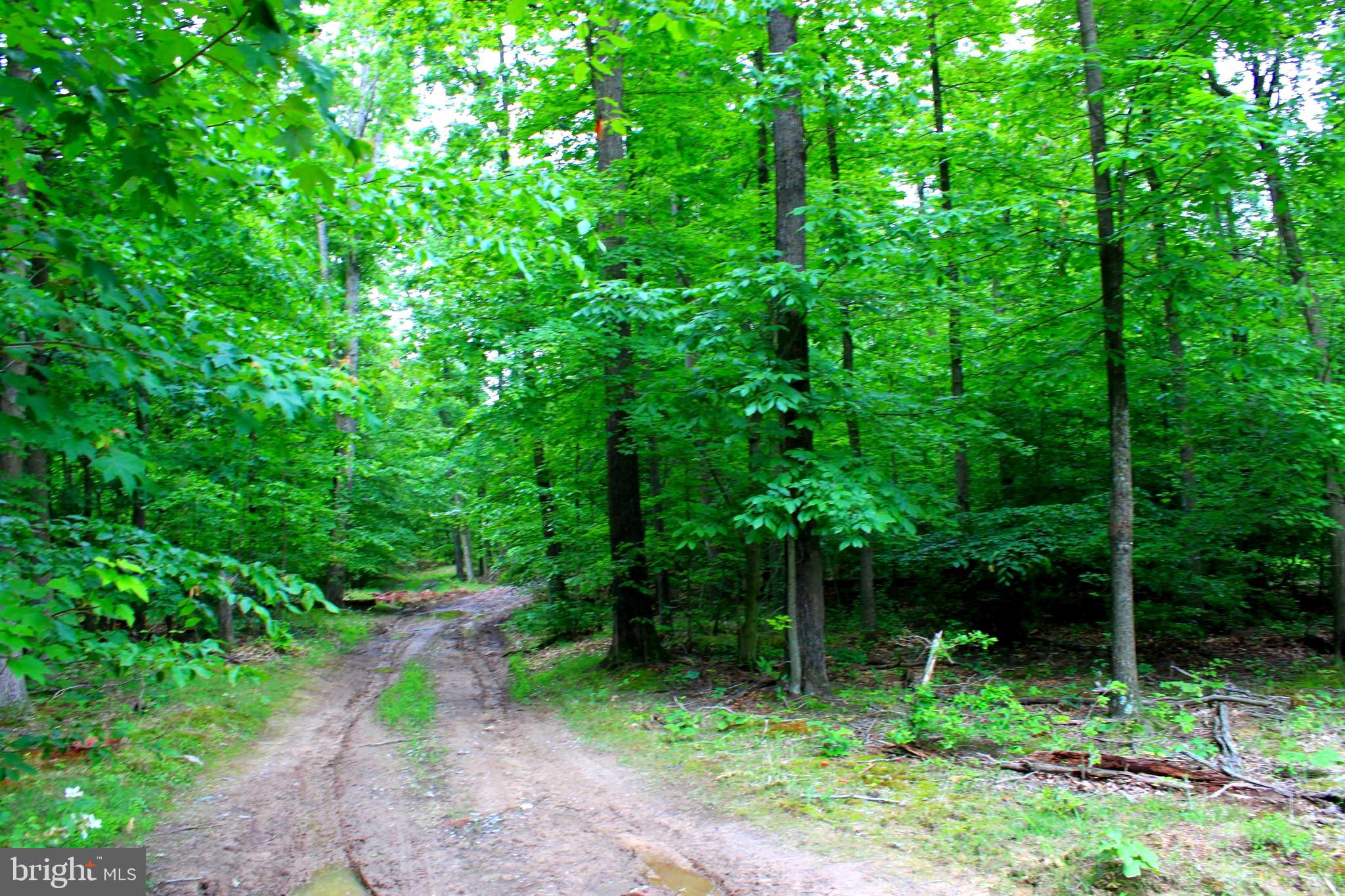 43571 Lost Corner Road Leesburg, VA 20176 - Photo 14 of 27 Unpaved lane to private building lot.
