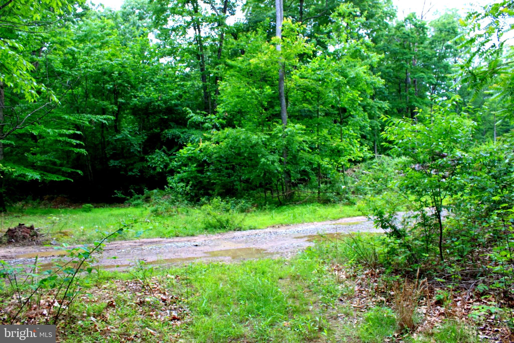 43571 Lost Corner Road Leesburg, VA 20176 - Photo 15 of 27 Gallery Image 15