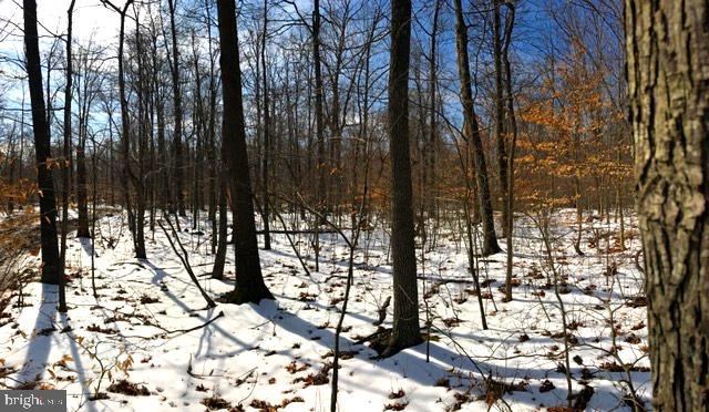 43571 Lost Corner Road Leesburg, VA 20176 - Photo 18 of 27 Snowy morning.