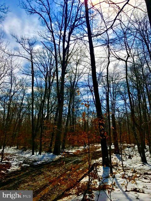 43571 Lost Corner Road Leesburg, VA 20176 - Photo 19 of 27 Blue skys on a winter day.
