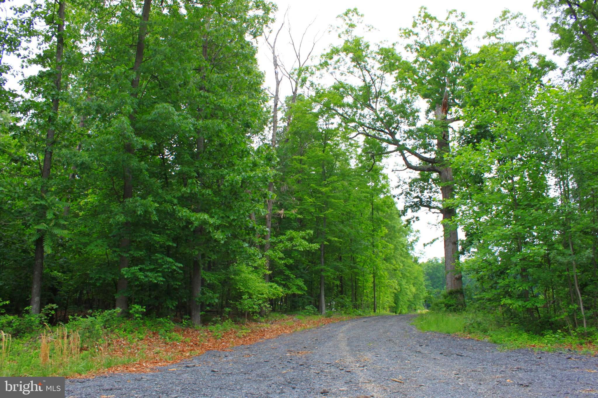 43571 Lost Corner Road Leesburg, VA 20176 - Photo 3 of 27 Driveway shared with one other property.