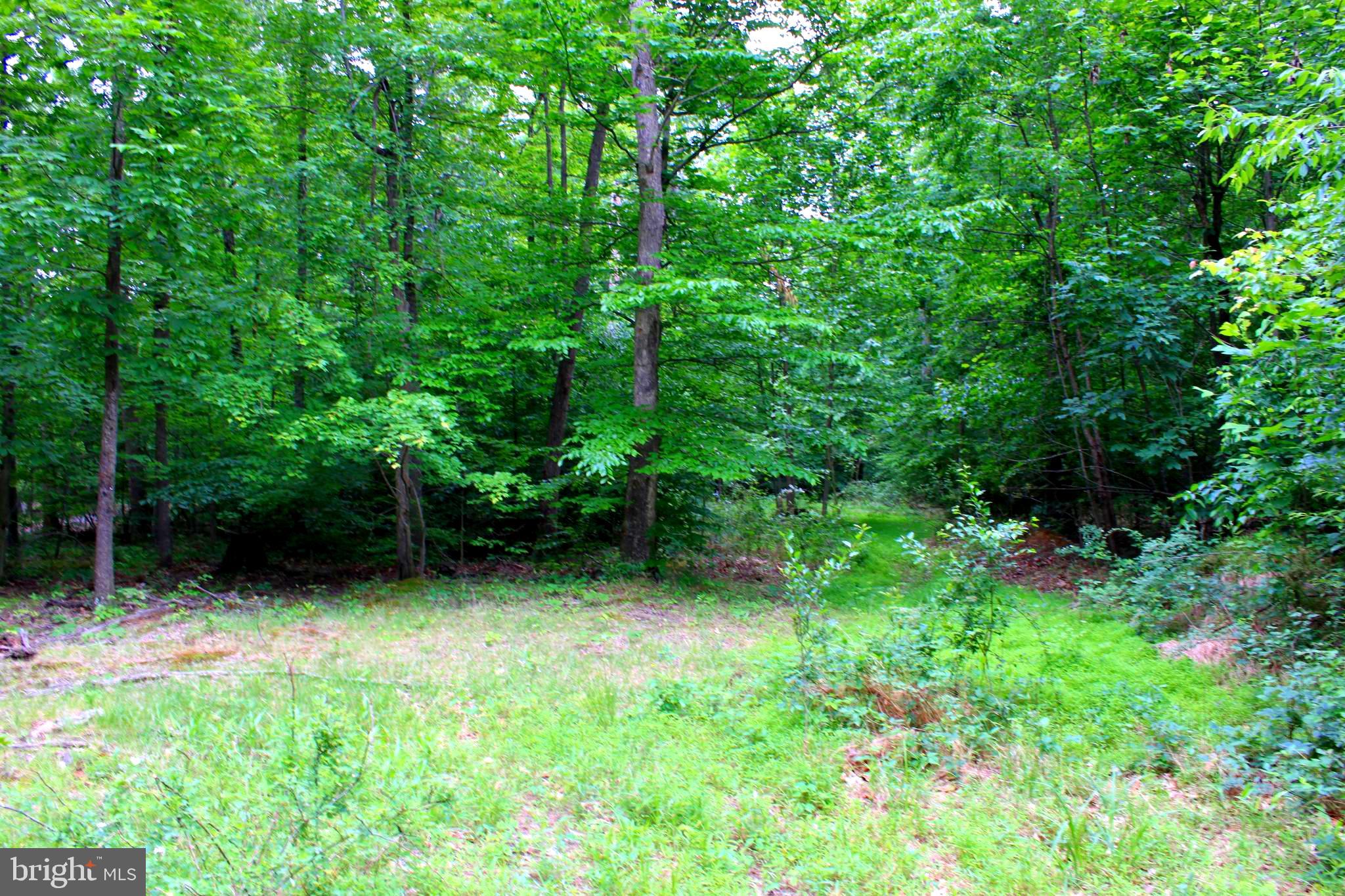 43571 Lost Corner Road Leesburg, VA 20176 - Photo 4 of 27 Lush woods for loads of privacy.