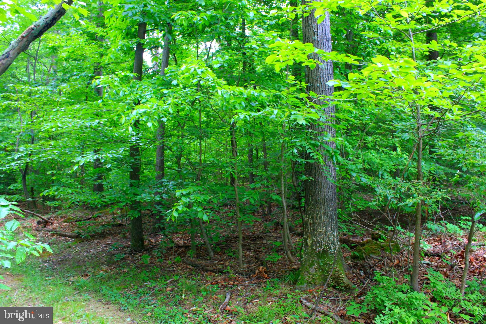 43571 Lost Corner Road Leesburg, VA 20176 - Photo 6 of 27 Gallery Image 6