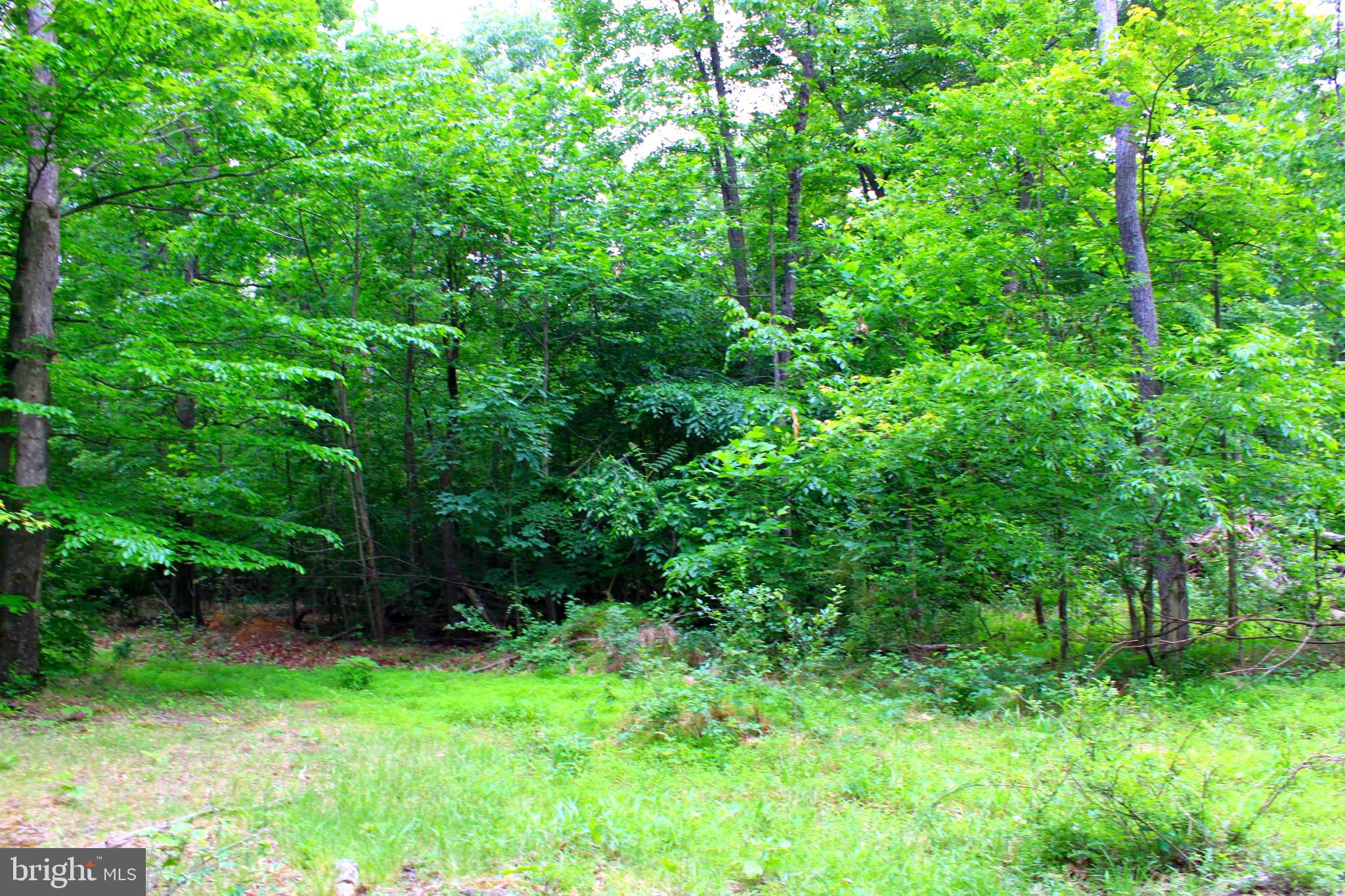 43571 Lost Corner Road Leesburg, VA 20176 - Photo 8 of 27 Gallery Image 8