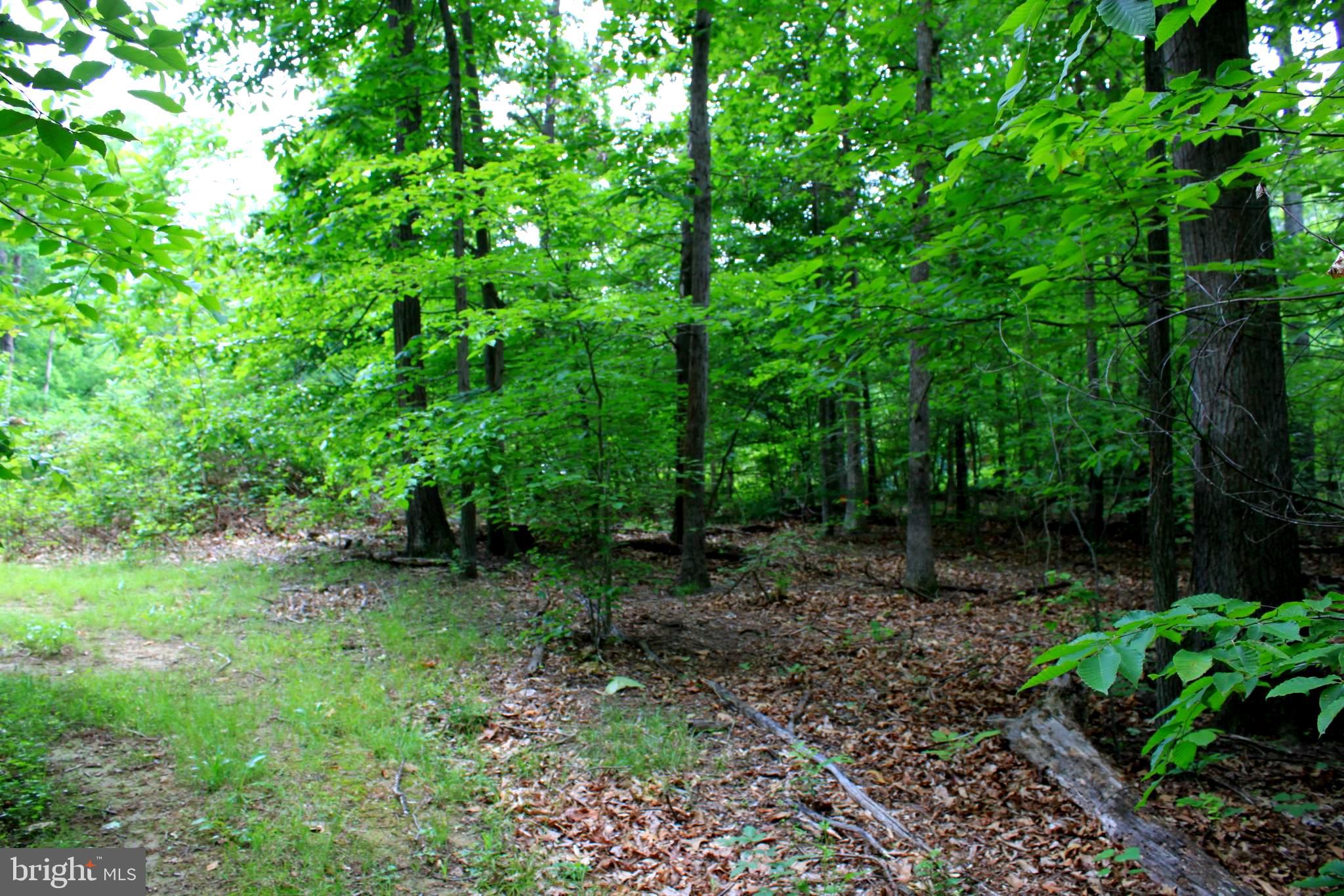43571 Lost Corner Road Leesburg, VA 20176 - Photo 9 of 27 Gallery Image 9
