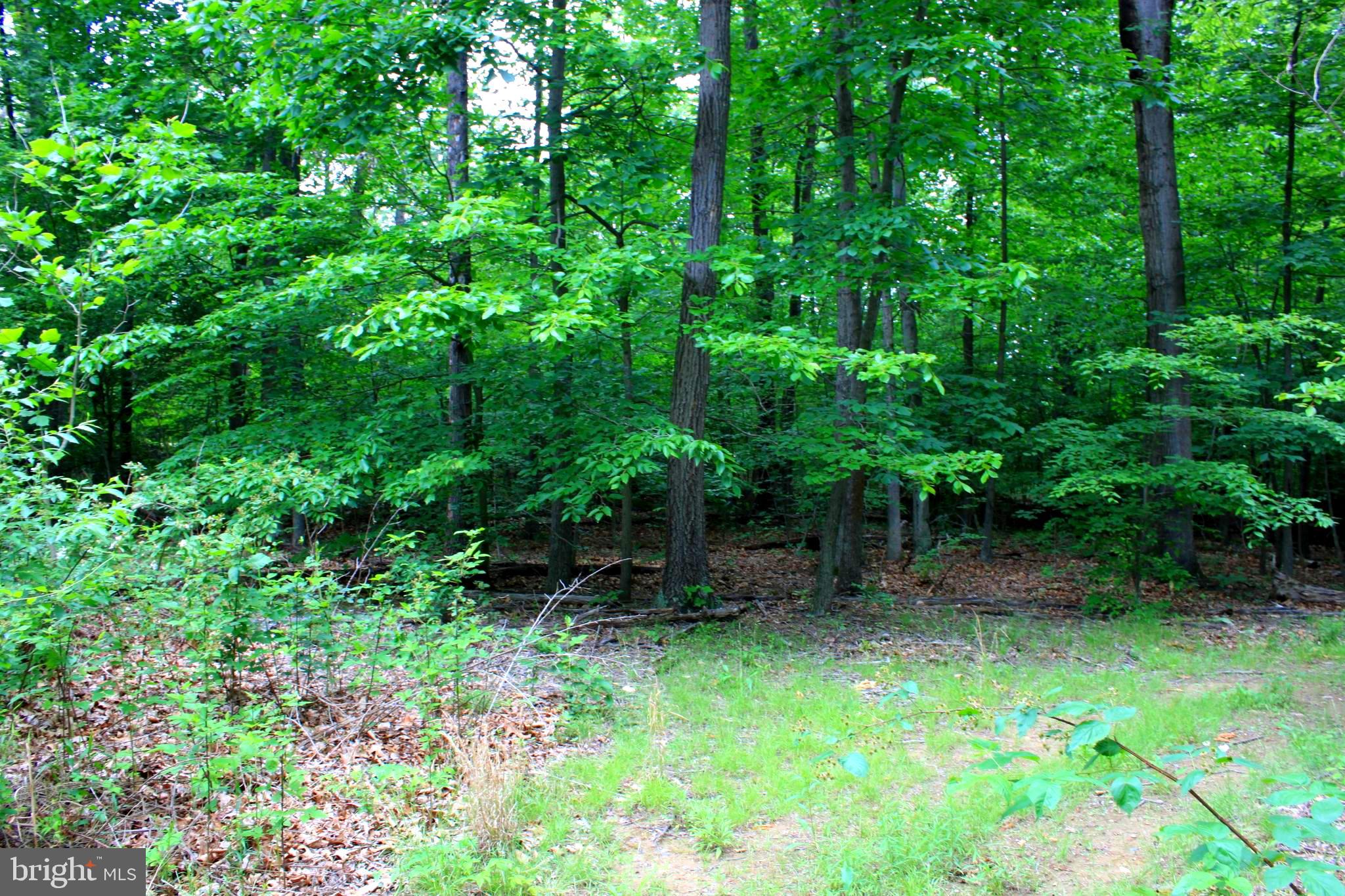 43571 Lost Corner Road Leesburg, VA 20176 - Photo 10 of 27 Gallery Image 10