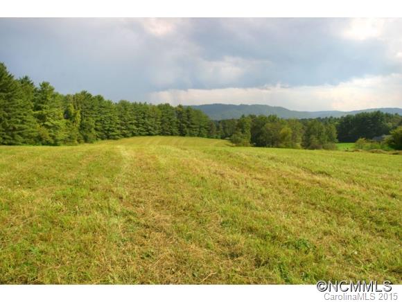 255 Emmas Grove Road Fletcher, NC 28732 - Photo 1 of 19 Gallery Image 1