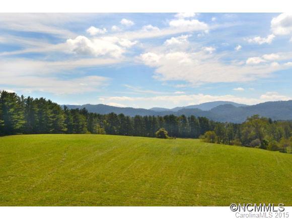 255 Emmas Grove Road Fletcher, NC 28732 - Photo 2 of 19 Gallery Image 2
