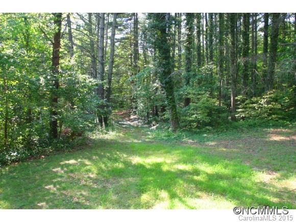 255 Emmas Grove Road Fletcher, NC 28732 - Photo 11 of 19 Gallery Image 11