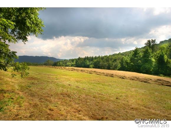 255 Emmas Grove Road Fletcher, NC 28732 - Photo 13 of 19 Gallery Image 13