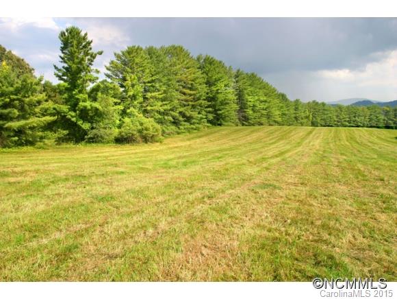 255 Emmas Grove Road Fletcher, NC 28732 - Photo 14 of 19 Gallery Image 14