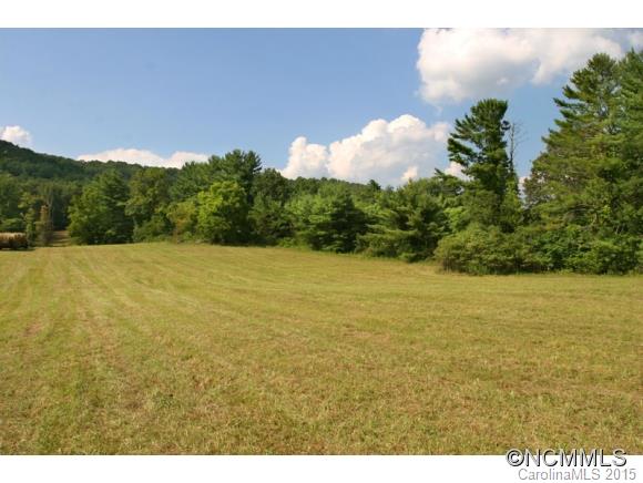 255 Emmas Grove Road Fletcher, NC 28732 - Photo 15 of 19 Gallery Image 15