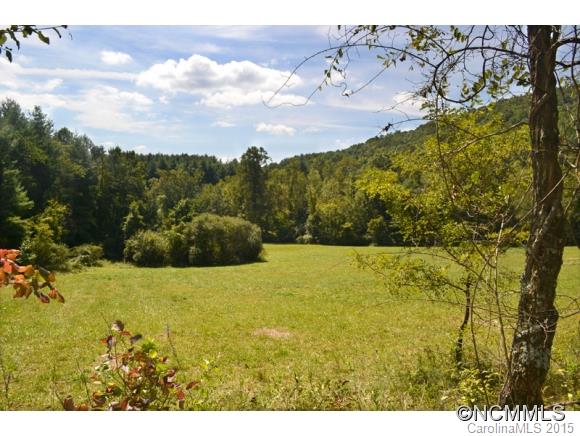 255 Emmas Grove Road Fletcher, NC 28732 - Photo 16 of 19 Gallery Image 16