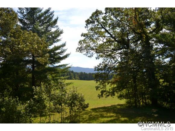 255 Emmas Grove Road Fletcher, NC 28732 - Photo 18 of 19 Gallery Image 18