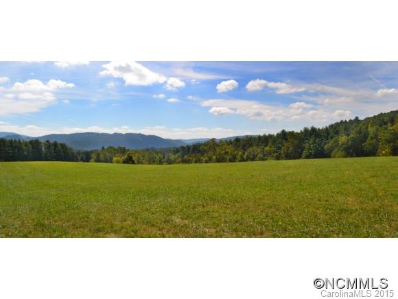 255 Emmas Grove Road Fletcher, NC 28732 - Photo 19 of 19 Gallery Image 19