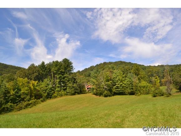 255 Emmas Grove Road Fletcher, NC 28732 - Photo 3 of 19 Gallery Image 3