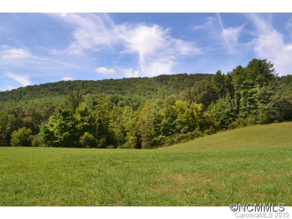 255 Emmas Grove Road Fletcher, NC 28732 - Photo 5 of 19 Gallery Image 5