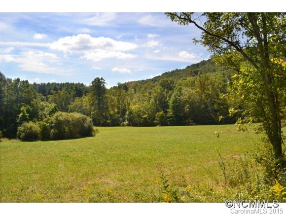 255 Emmas Grove Road Fletcher, NC 28732 - Photo 6 of 19 Gallery Image 6