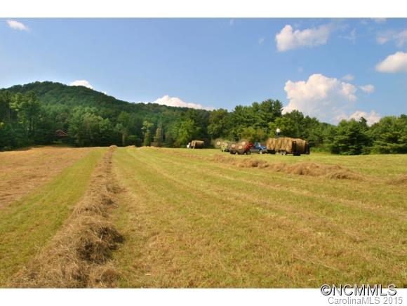 255 Emmas Grove Road Fletcher, NC 28732 - Photo 8 of 19 Gallery Image 8