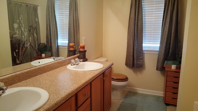 3335 Trotters Ridge Trail Gray, GA 31032 - Photo 8 of 25 a bathroom with a sink and a mirror