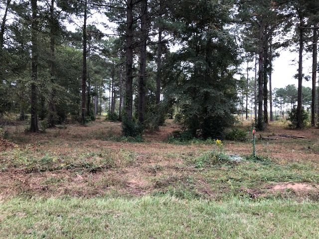 0 Cedar Drive Cochran, GA 31014 - Photo 7 of 11