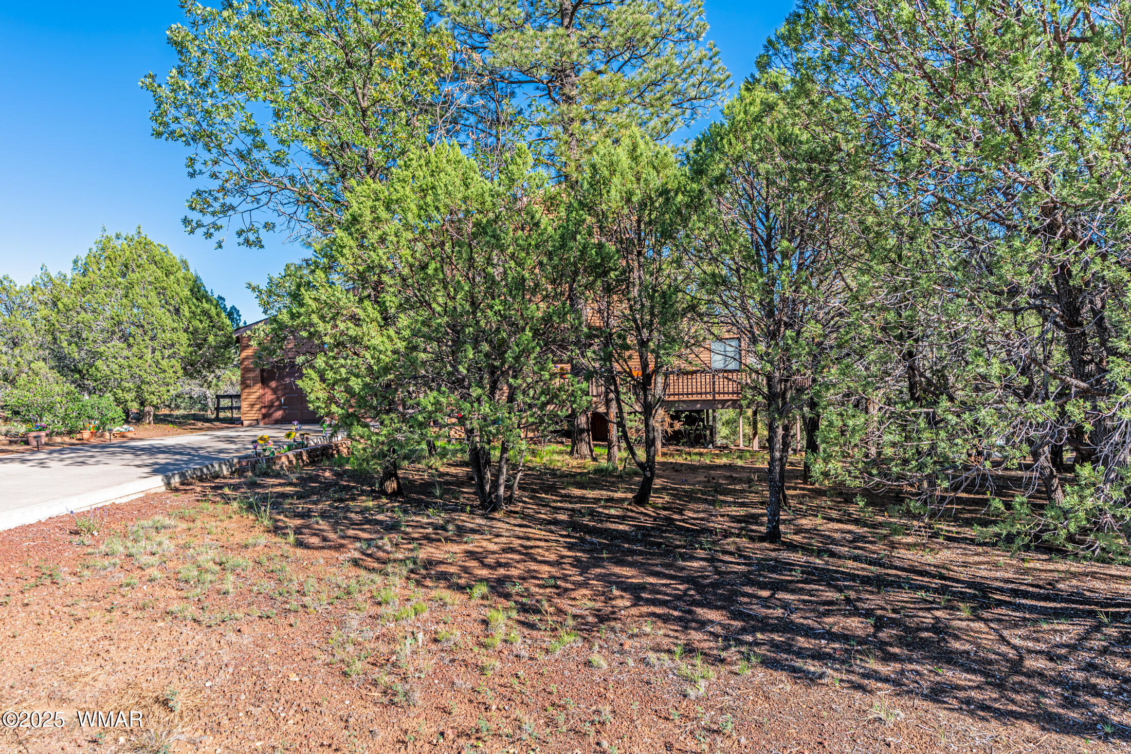 3591 West Thornton Road Show Low, AZ 85901 - Photo 30 of 30 _DSC3768-HDR-Edit