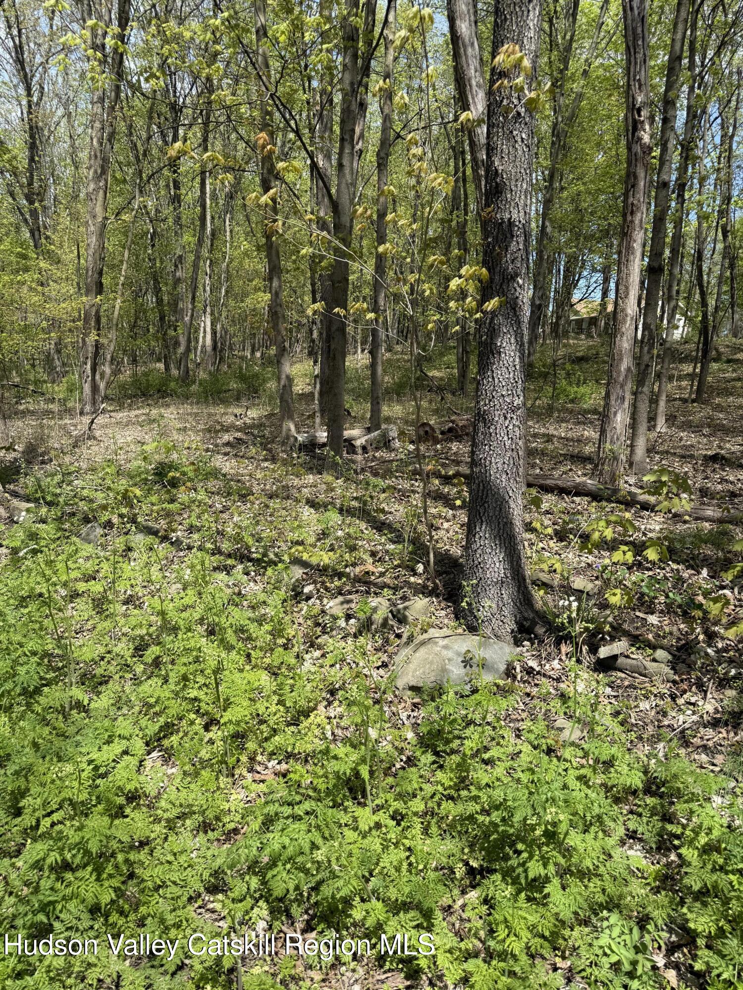 120 Floyd Ackert Road West Park, NY 12493 - Photo 2 of 6 IMG_2621