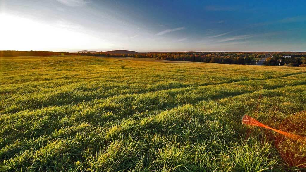 979 Dyer Brook Road Dyer Brook, ME 04747 - Photo 13 of 70 maine-farm-dyer-brook-18