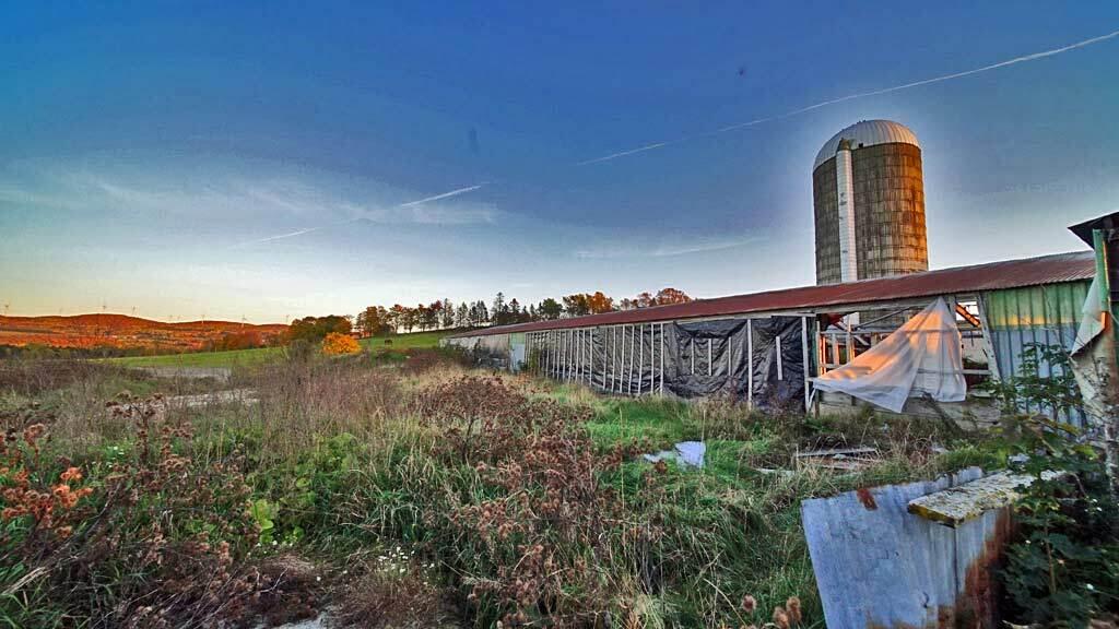 979 Dyer Brook Road Dyer Brook, ME 04747 - Photo 17 of 70 maine-farm-dyer-brook-11