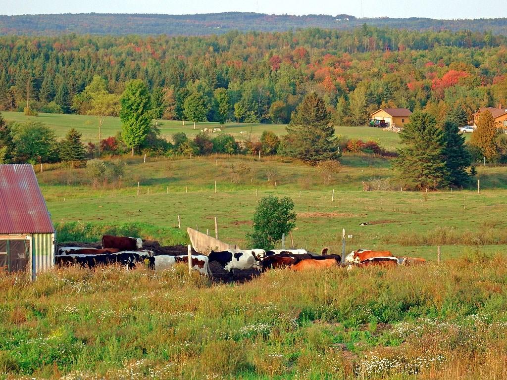 979 Dyer Brook Road Dyer Brook, ME 04747 - Photo 21 of 70 Photo