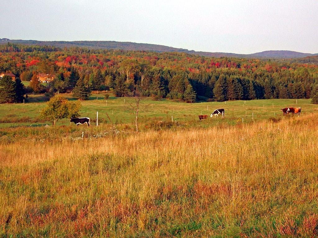 979 Dyer Brook Road Dyer Brook, ME 04747 - Photo 28 of 70 Photo