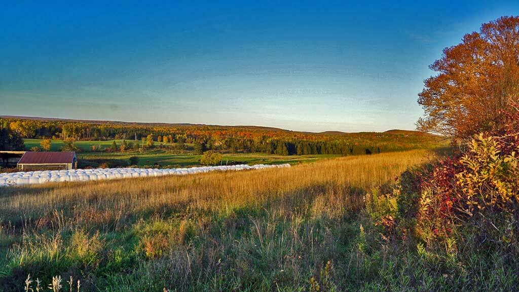 979 Dyer Brook Road Dyer Brook, ME 04747 - Photo 3 of 70 maine-farm-dyer-brook-3